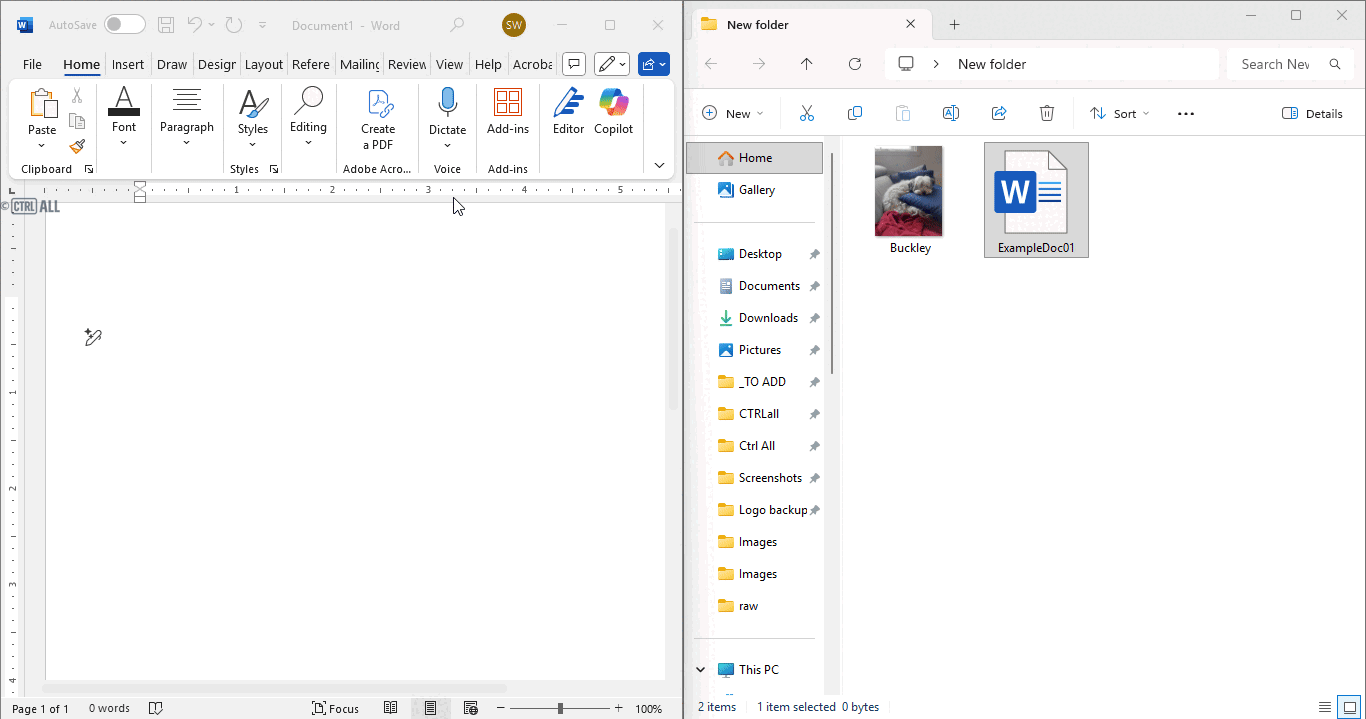 Insert embedded file in Word